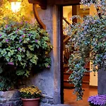 De * Potes
